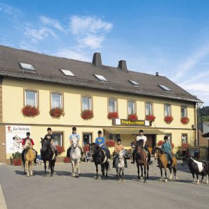 Ponyhof, Pferdetourismus Steinbach in Oberfranken.